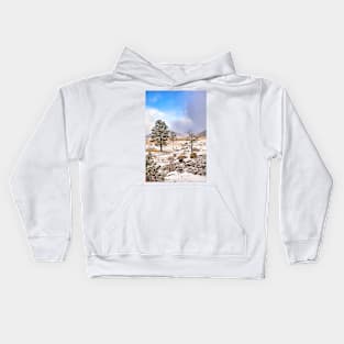 RMNP Winter Study 10 Kids Hoodie